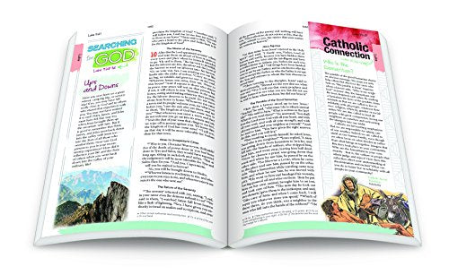 The Catholic Youth Bible, 4th Edition, NRSV: New Revised Sta