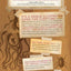 Cabinet of Curiosities: Collecting and Understanding the Won