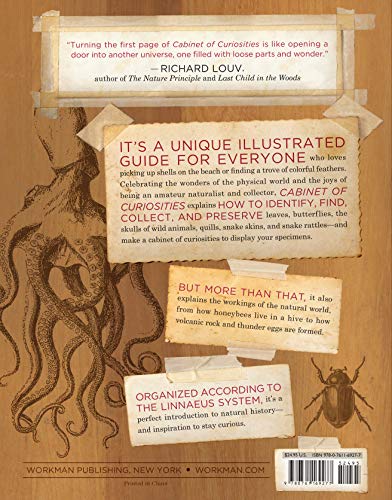 Cabinet of Curiosities: Collecting and Understanding the Won