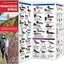 San Francisco Birds: A Folding Pocket Guide to Familiar Bay Area Species (Wildlife and Nature Identification)
