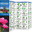 Indiana Trees & Wildflowers: A Folding Pocket Guide to Familiar Plants (Wildlife and Nature Identification)