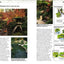 All About Creating Japanese Gardens