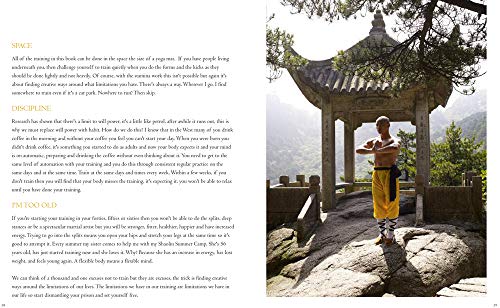 Instant Fitness: The Shaolin Kung Fu Workout (Instant Health The Shaolin Qigong Workou) — back cover