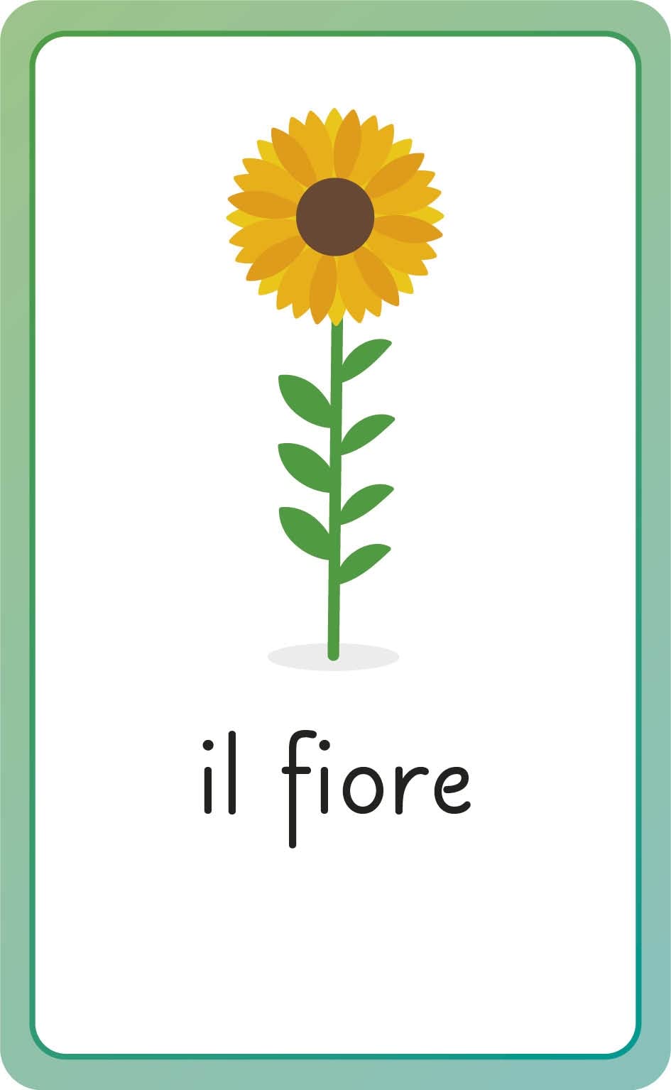 Italian for Everyone Junior First Words Flash Cards