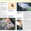 Manual of Fish Health: Everything You Need to Know About Aquarium Fish, Their Environment and Disease Prevention