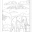 Large Print Calm Color-by-Number
