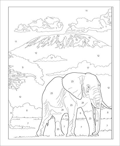 Large Print Calm Color-by-Number