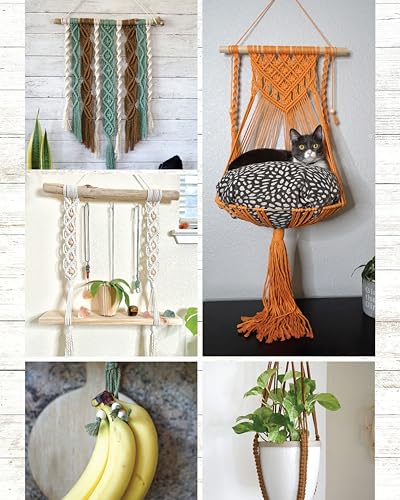 Complete Starter Guide to Macramé: 15 Knotted Home Creations Made with Natural Materials (Fox Chapel Publishing) Book of Macrame Projects for Beginners - Wall Art, Fruit Baskets, a Cat Bed, and More