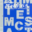 Saxon Math 65 Test Masters: An Incremental Development
