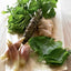 The Sushi Lover's Cookbook: Easy-to-Prepare Recipes for Every Occasion