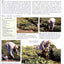 The American Horticultural Society Complete Guide to Water Gardening