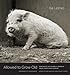 Allowed to Grow Old: Portraits of Elderly Animals from Farm Sanctuaries