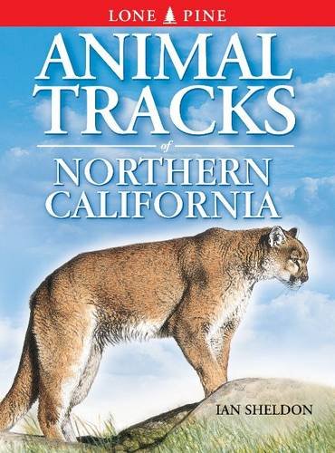 Animal Tracks of Northern California