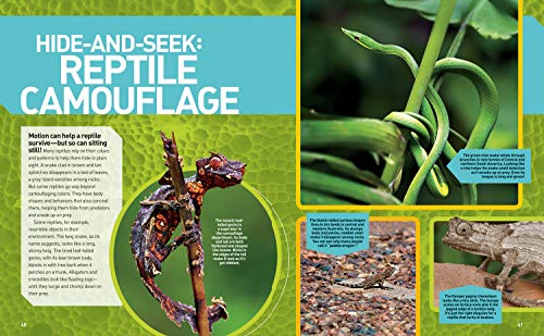 Ultimate Reptileopedia: The Most Complete Reptile Reference