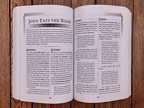 Revelation: Four Views, A Parallel Commentary, Revised & Updated Edition