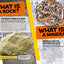 Everything: Rocks and Minerals