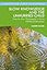 Slow Knowledge and the Unhurried Child (Contesting Early Childhood)
