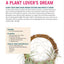 Creative Terrariums: 33 Modern Mini-Gardens for Your Home (Fox Chapel Publishing) Step-by-Step Cutting-Edge, Contemporary Designs to Add a Decorative Organic Presence to Even the Smallest Room