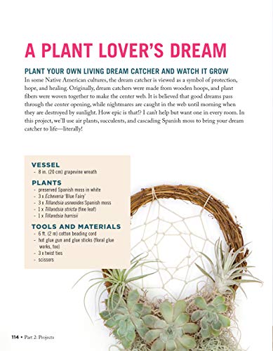 Creative Terrariums: 33 Modern Mini-Gardens for Your Home (Fox Chapel Publishing) Step-by-Step Cutting-Edge, Contemporary Designs to Add a Decorative Organic Presence to Even the Smallest Room