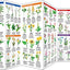 Vermont Trees & Wildflowers: A Folding Pocket Guide to Familiar Plants (Wildlife and Nature Identification)