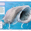 Sharks and Other Deadly Ocean Creatures Visual Encyclopedia (DK Children's Visual Encyclopedias)