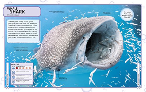 Sharks and Other Deadly Ocean Creatures Visual Encyclopedia (DK Children's Visual Encyclopedias)
