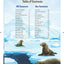 5-Minute Adventure Bible Stories, Polar Exploration Edition