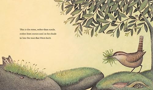 The Nest That Wren Built (Animal Habitats)