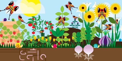 Counting in the Garden: Hardcover Popular Edition