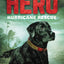 Hero: Hurricane Rescue (Hero, 2)
