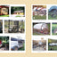 Chicken Coops: 45 Building Ideas for Housing Your Flock