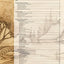 Great Book of Woodburning, Revised and Expanded Second Edition: Pyrography Techniques, Patterns, and Projects for All Skill Levels with 40+ Original, Traceable Designs and Step-by-Step Instructions