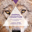 Animal Cognition: Evolution, Behavior and Cognition