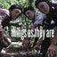 Things As They Are: Photojournalism in Context Since 1955