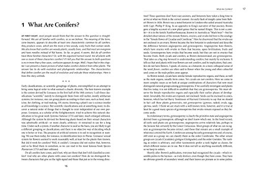 A Natural History of Conifers