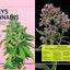 Women & Weed: How the Green Rush Is Changing Our Lives