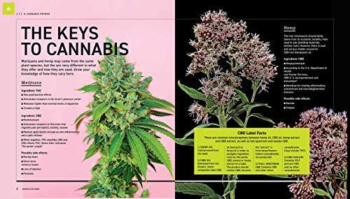 Women & Weed: How the Green Rush Is Changing Our Lives