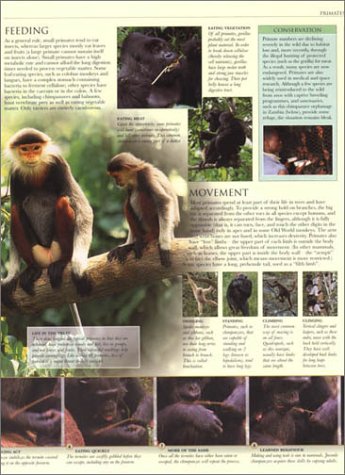 Animal: The Definitive Visual Guide to the World's Wildlife