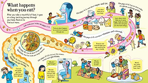 Look Inside What Happens When You Eat