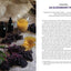 Everything Elderberry: How to Forage, Cultivate, and Cook with this Amazing Natural Remedy