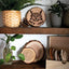 Woodburning Workshop: Essential Techniques & Creative Projects for Beginners