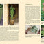 Designing with Succulents