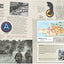 Ww2 Victory In Europe Experience: From D-day To The Destruction Of The Third Reich