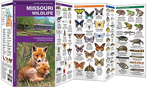 Missouri Wildlife: A Folding Pocket Guide to Familiar Animals (Wildlife and Nature Identification)