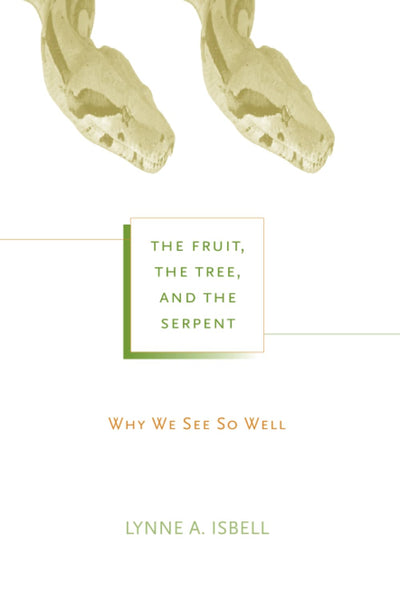 The Fruit, the Tree, and the Serpent: Why We See So Well