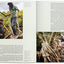 Julia Watson: Lo-Tek; Design by Radical Indigenism