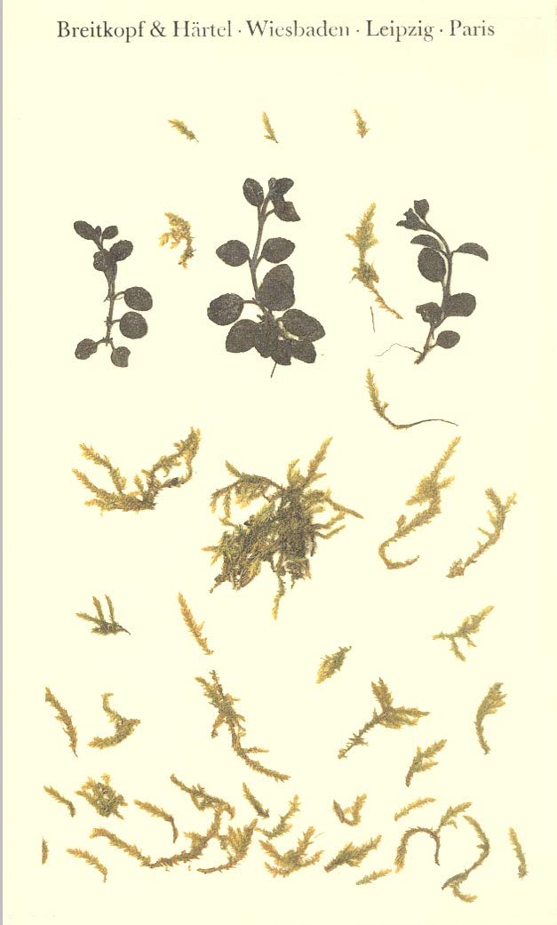 Das Berliner Blumentagebuch der Clara Schumann, 1857-1859 (German Edition)