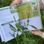 The Foragers Guide to Wild Foods