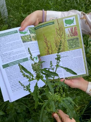 The Foragers Guide to Wild Foods