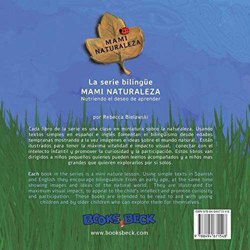La abeja y la flor - The Bee and the Flower: Versión bilinge Espaol/Inglés (La Serie Bilingue Mami Naturaleza) (Spanish Edition)